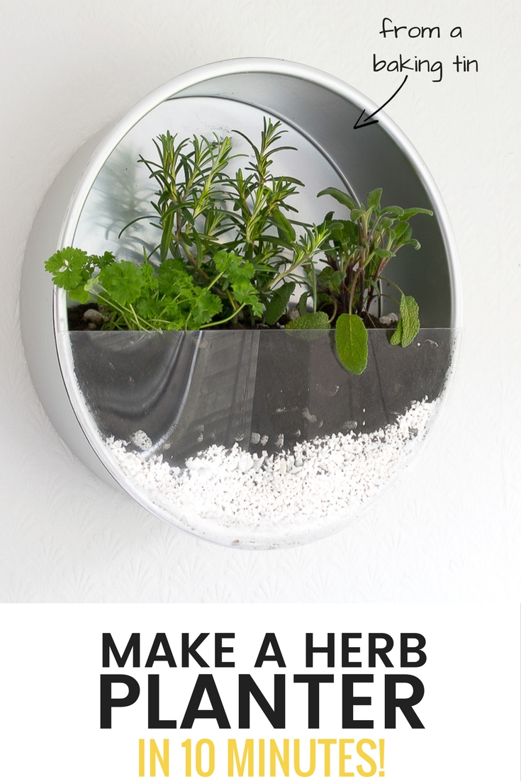 use old baking tins to make an indoor herb planter for your kitchen / grillo designs www.grillo-designs.com