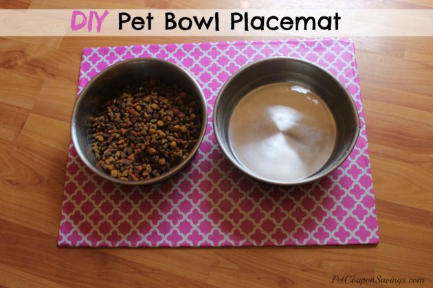DIY-Pet-Bowl-Placemat-1024x682