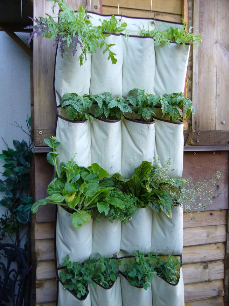 planter ideas using an organizer sack / grillo designs