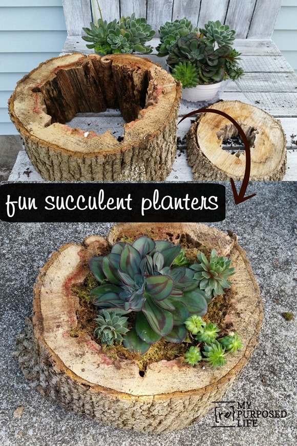 tree trunk planter ideas from my repurposed life / grillo designs