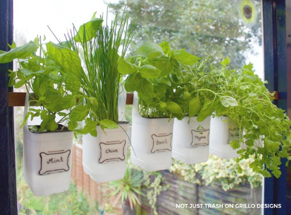 hanf herbs from window sill to declutter kitchen counters via not just trash / grillo designs www.grillo-designs.com