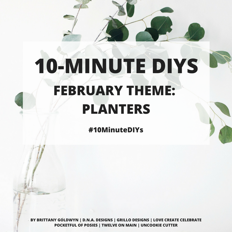 10 minute diy challenge - this months theme is herb planters / grillo designs www.grillo-designs.com