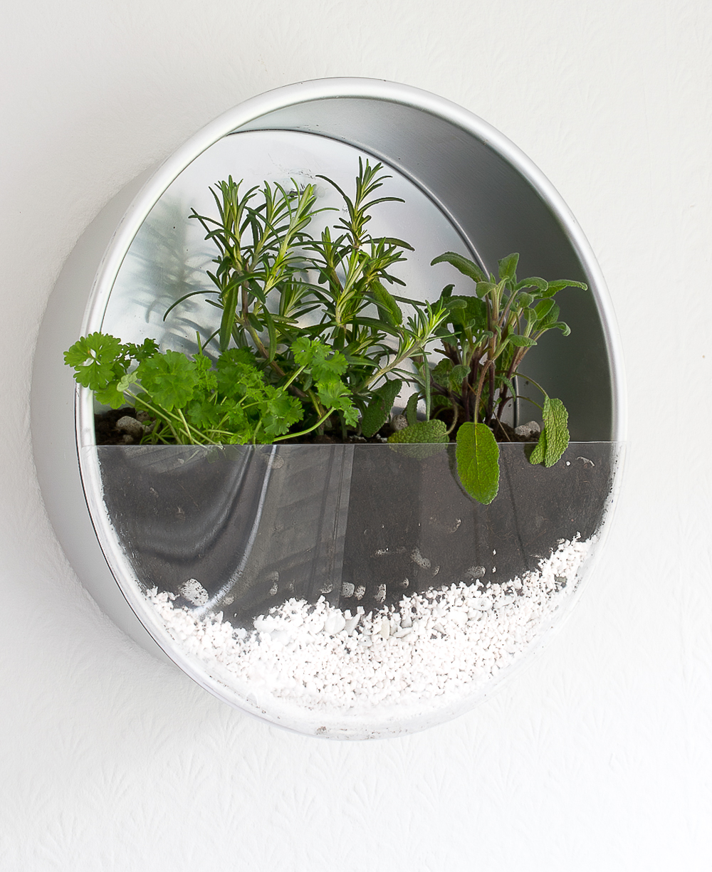 Make An Indoor Herb Planter – In 10 Minutes!