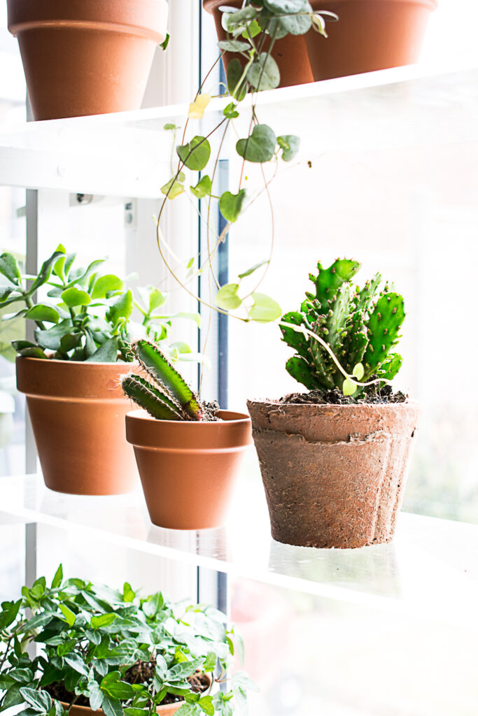 DIY Floating Window Plant Shelf Tutorial • Grillo Designs