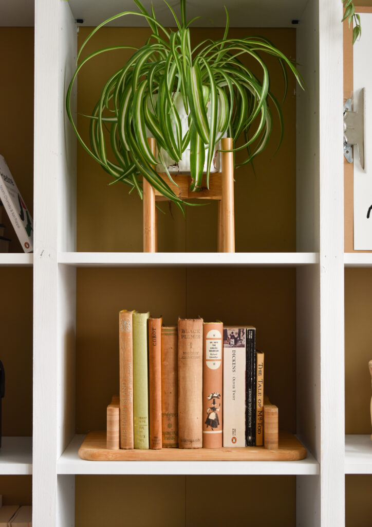 ikea stolthet styled as bookends on a cubed shelving unit, with a green spider plant on the shelf above