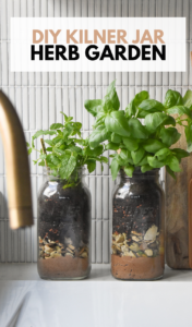 Pinterest image showing herb garden jars on counter and titled diy kilner jar herb garden