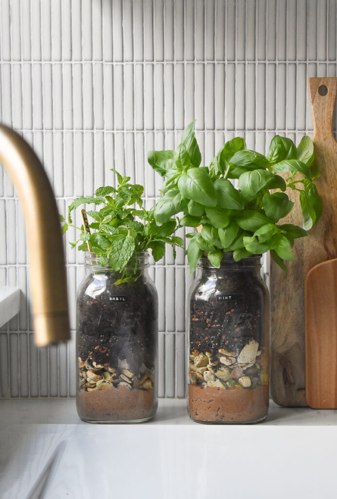 two diy mason jar herb gardens sit alongside one another on a white counter top, a peek of wood on the right from chopping boards, a brass tap and tiled splash back